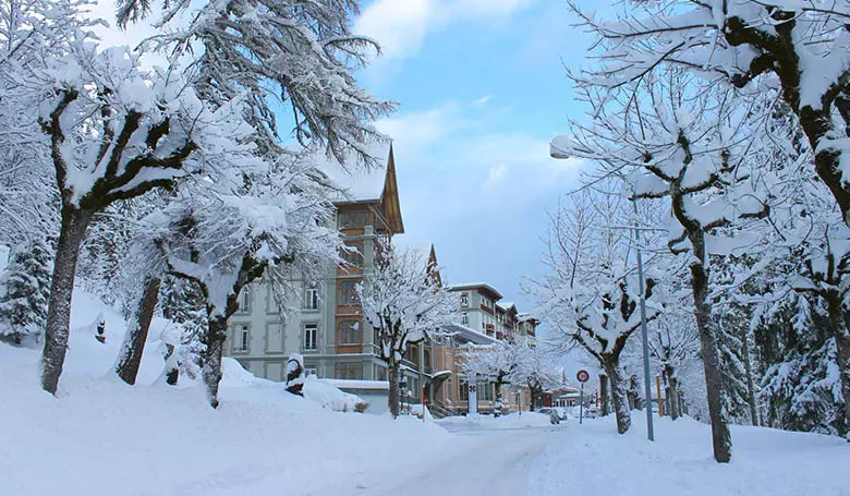 Leysin American School