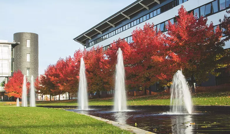 Территория при University of Warwick.jpg